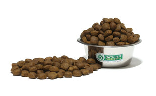 Kuivtoit koertele Nature's Protection Dog Active, 4 kg hind ja info | NATURE'S PROTECTION Lemmikloomatarbed | kaup24.ee