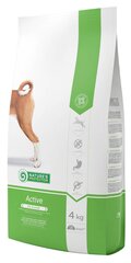 Kuivtoit koertele Nature's Protection Dog Active, 4 kg цена и информация | Сухой корм для собак | kaup24.ee