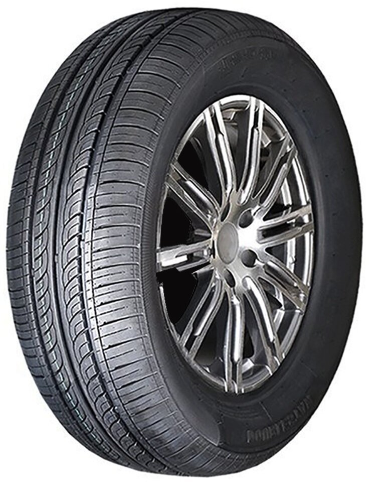 DoubleStar DH05 195/65R15 91 V цена и информация | Suverehvid | kaup24.ee