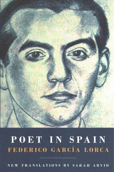 Poet in Spain цена и информация | Luule | kaup24.ee