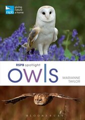 RSPB Spotlight Owls цена и информация | Книги о питании и здоровом образе жизни | kaup24.ee