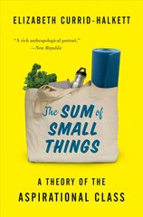 Sum of Small Things: A Theory of the Aspirational Class цена и информация | Книги по социальным наукам | kaup24.ee