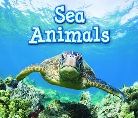 Sea Animals hind ja info | Noortekirjandus | kaup24.ee