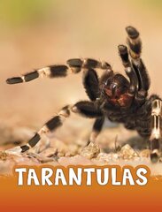 Tarantulas hind ja info | Noortekirjandus | kaup24.ee