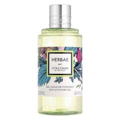 Гель дял душа L´occitane Herbae Gentle Shower Gel - Shower gel with the scent of wild grasses and flowers цена и информация | Масла, гели для душа | kaup24.ee