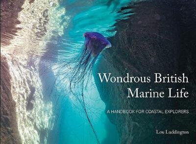Wondrous British Marine Life: A handbook for coastal explorers hind ja info | Tervislik eluviis ja toitumine | kaup24.ee