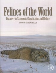 Felines of the World: Discoveries in Taxonomic Classification and History цена и информация | Книги по экономике | kaup24.ee
