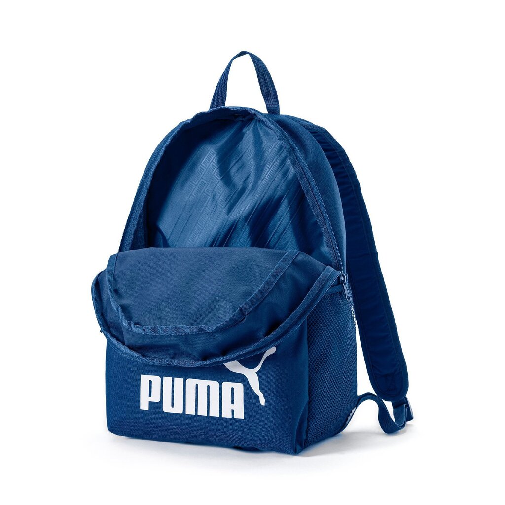 Spordiseljakott Puma Phase, 22 l, sinine цена и информация | Spordikotid, seljakotid | kaup24.ee