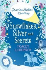 Snowflakes, Silver and Secrets цена и информация | Книги для подростков и молодежи | kaup24.ee