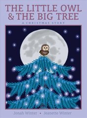 Little Owl & the Big Tree: A Christmas Story цена и информация | Книги для малышей | kaup24.ee