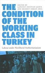 Condition of the Working Class in Turkey: Labour under Neoliberal Authoritarianism цена и информация | Книги по социальным наукам | kaup24.ee