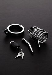 Munandirõngas peenisepuuriga Attica Chastity Cage (45mm) hind ja info | Peeniserõngad, mansetid jne. | kaup24.ee