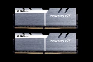 G.Skill Trident Z DDR4, 2x8 ГБ, 3200 МГц, CL16 (F4-3200C16D-16GTZSW) цена и информация | Оперативная память (RAM) | kaup24.ee