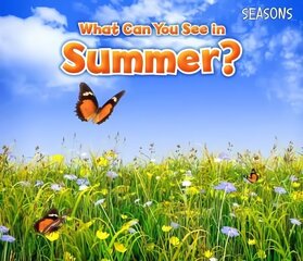 What Can You See In Summer? hind ja info | Väikelaste raamatud | kaup24.ee
