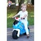 Tasakaalu mootorratas helidega цена и информация | Imikute mänguasjad | kaup24.ee
