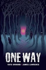 One Way цена и информация | Книги для подростков и молодежи | kaup24.ee