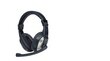 Thebe kõrvaklapid mikrofoniga цена и информация | Kõrvaklapid | kaup24.ee