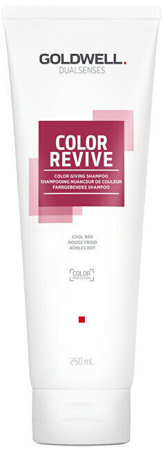 Šampoon Goldwell Dualsenses Color Revive Cool Red, 250 ml цена и информация | Šampoonid | kaup24.ee