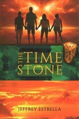 Time Stone цена и информация | Фантастика, фэнтези | kaup24.ee