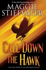 Call Down the Hawk (the Dreamer Trilogy, Book 1): Volume 1 цена и информация | Книги для подростков и молодежи | kaup24.ee