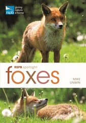 RSPB Spotlight: Foxes цена и информация | Книги о питании и здоровом образе жизни | kaup24.ee