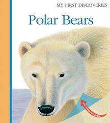 Polar Bears hind ja info | Noortekirjandus | kaup24.ee