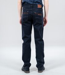 Мужские джинсы  36343 01, тёмно-серый 36343*01-042 цена и информация | Мужские джинсы | kaup24.ee