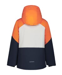 Детская куртка Icepeak 180g Lucka 50029-2*460, оранжевая/светло-серая, 6438535279945 цена и информация | Куртки для мальчиков | kaup24.ee