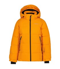 Icepeak laste jope 300g Louin 50035-2*460, oranž 6438535280286 цена и информация | Куртки для мальчиков | kaup24.ee