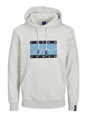 Jack & Jones мужская толстовка 12238143*01, светло-серый/mel 5715417189341 цена и информация | Мужские толстовки | kaup24.ee