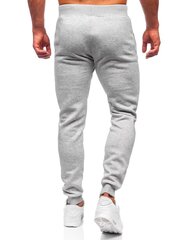J.STYL мужские спортивные брюки 373010 01, h.h-2 373010*01-XL цена и информация | Мужская спортивная одежда | kaup24.ee