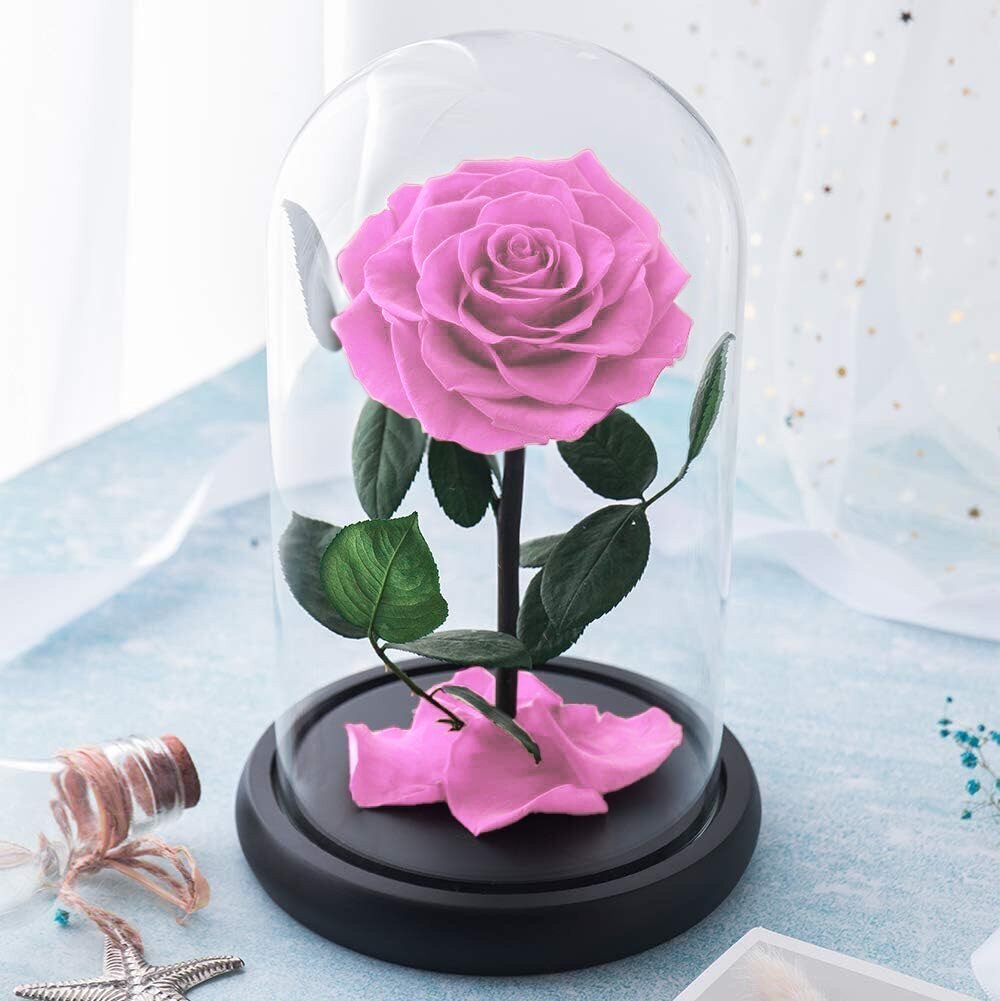 Päris roos klaaskuplis (Infinity rose) LIVMAN, 22cm цена и информация | Uinuvad roosid, taimed | kaup24.ee