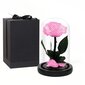 Päris roos klaaskuplis (Infinity rose) LIVMAN, 22cm цена и информация | Uinuvad roosid, taimed | kaup24.ee