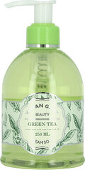 Vedelseep Vivian Gray Green Tea, 250 ml цена и информация | Мыло | kaup24.ee