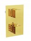 Peidetud dušikomplekt termostaadiga Mexen Cube 6in1, 25x25 cm, Gold цена и информация | Komplektid ja dušipaneelid | kaup24.ee