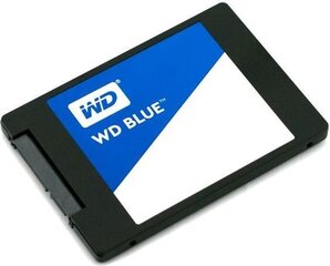 Western Digital Blue 250GB SATA3 (WDS250G2B0A) цена и информация | Внутренние жёсткие диски (HDD, SSD, Hybrid) | kaup24.ee