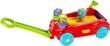 Fisher Price tõukeauto hind ja info | Imikute mänguasjad | kaup24.ee