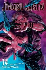 Jujutsu Kaisen, Vol. 14 hind ja info | Fantaasia, müstika | kaup24.ee