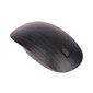 HP 500 Spectre Ash BT Mouse цена и информация | Hiired | kaup24.ee