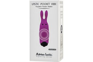 Вибрирующая пуля Lastic Pocket Purple Silicone 8,5 x 2,3 см цена и информация | Вибраторы | kaup24.ee
