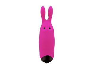 Вибрирующая пуля Lastic Pocket Pink Silicone 8,5 x 2,3 см цена и информация | Вибраторы | kaup24.ee