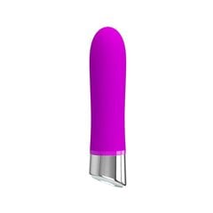 Vibe Sampson Silicone Purple цена и информация | Вибраторы | kaup24.ee