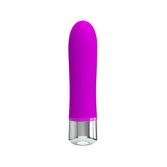 Vibe Sampson Silicone Purple цена и информация | Вибраторы | kaup24.ee