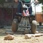 ATV Razor Dirt Quad, must hind ja info | Laste elektriautod | kaup24.ee