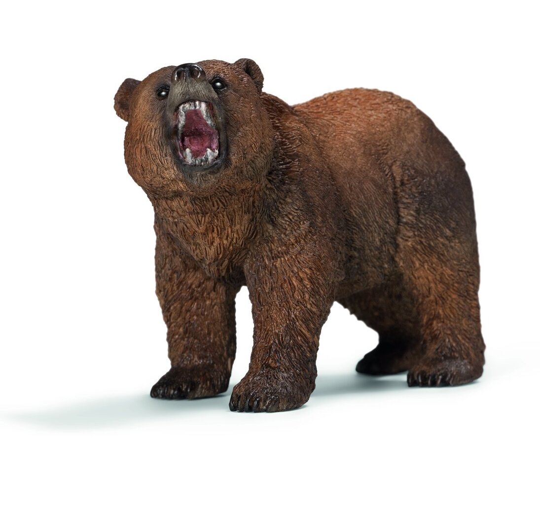 Joonis Grizzly Schleich hind ja info | Poiste mänguasjad | kaup24.ee