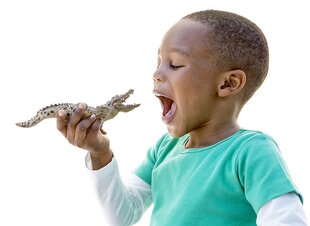 Крокодил SCHLEICH  цена и информация | Игрушки для мальчиков | kaup24.ee