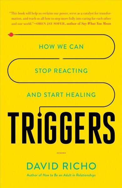 Triggers: How We Can Stop Reacting and Start Healing цена и информация | Ühiskonnateemalised raamatud | kaup24.ee