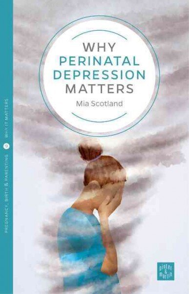 Why Postnatal Depression Matters hind ja info | Eneseabiraamatud | kaup24.ee