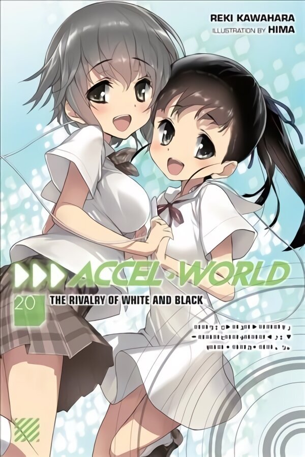 Accel World, Vol. 20 (light novel) цена и информация | Fantaasia, müstika | kaup24.ee