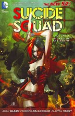 Suicide Squad Vol. 1: Kicked in the Teeth (The New 52): Kicked In The Teeth, Volume 1, Kicked in the Teeth цена и информация | Фантастика, фэнтези | kaup24.ee